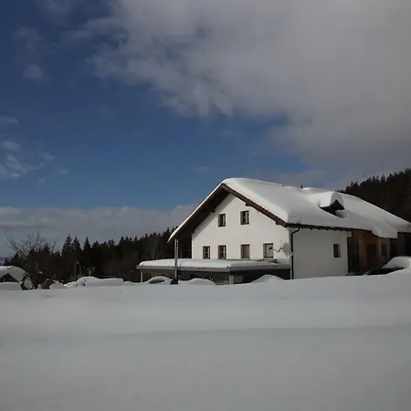 Апартаменты Ferienwohnung Lackenhaeuser